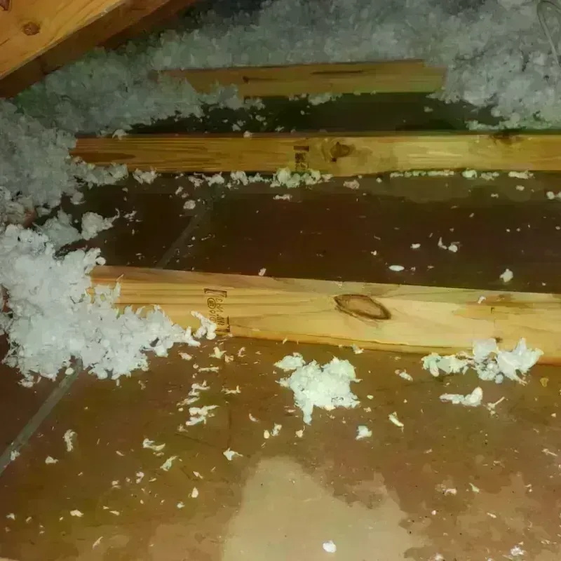 Attic Water Damage in Edwardsville, PA