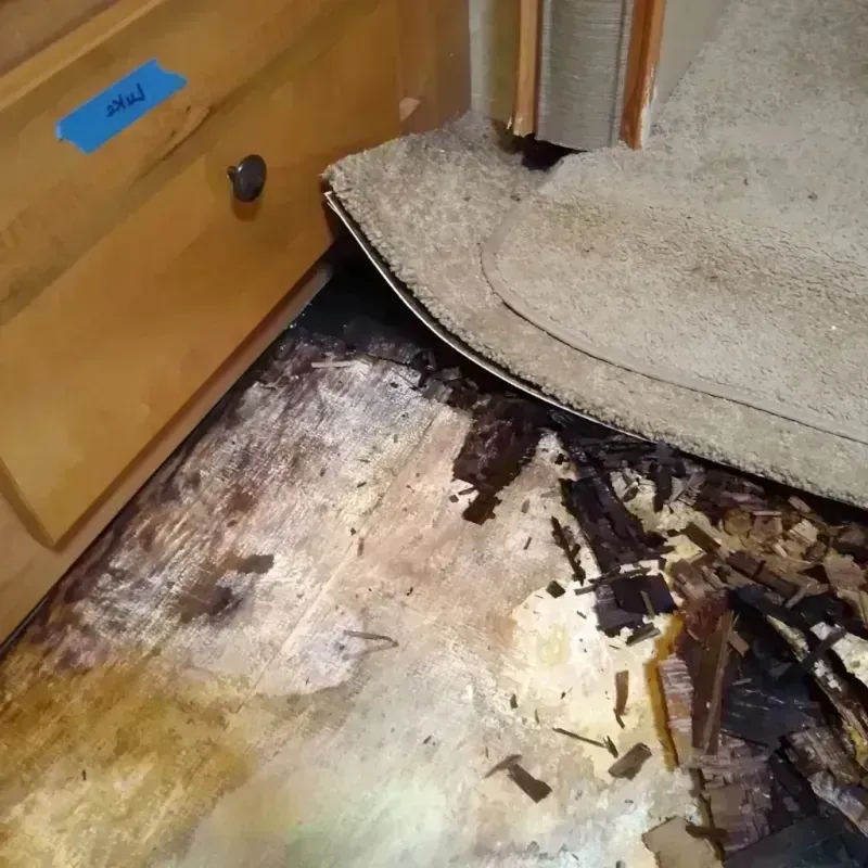 Best Wood Floor Water Damage Service in Edwardsville, PA